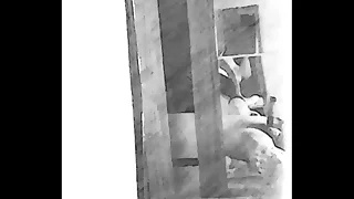 Pauzudo 38CM na punheta